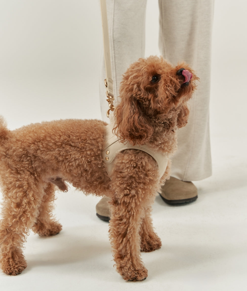 Cafide Arnés De Cuero Vegano Beige. Modelo Jala._2