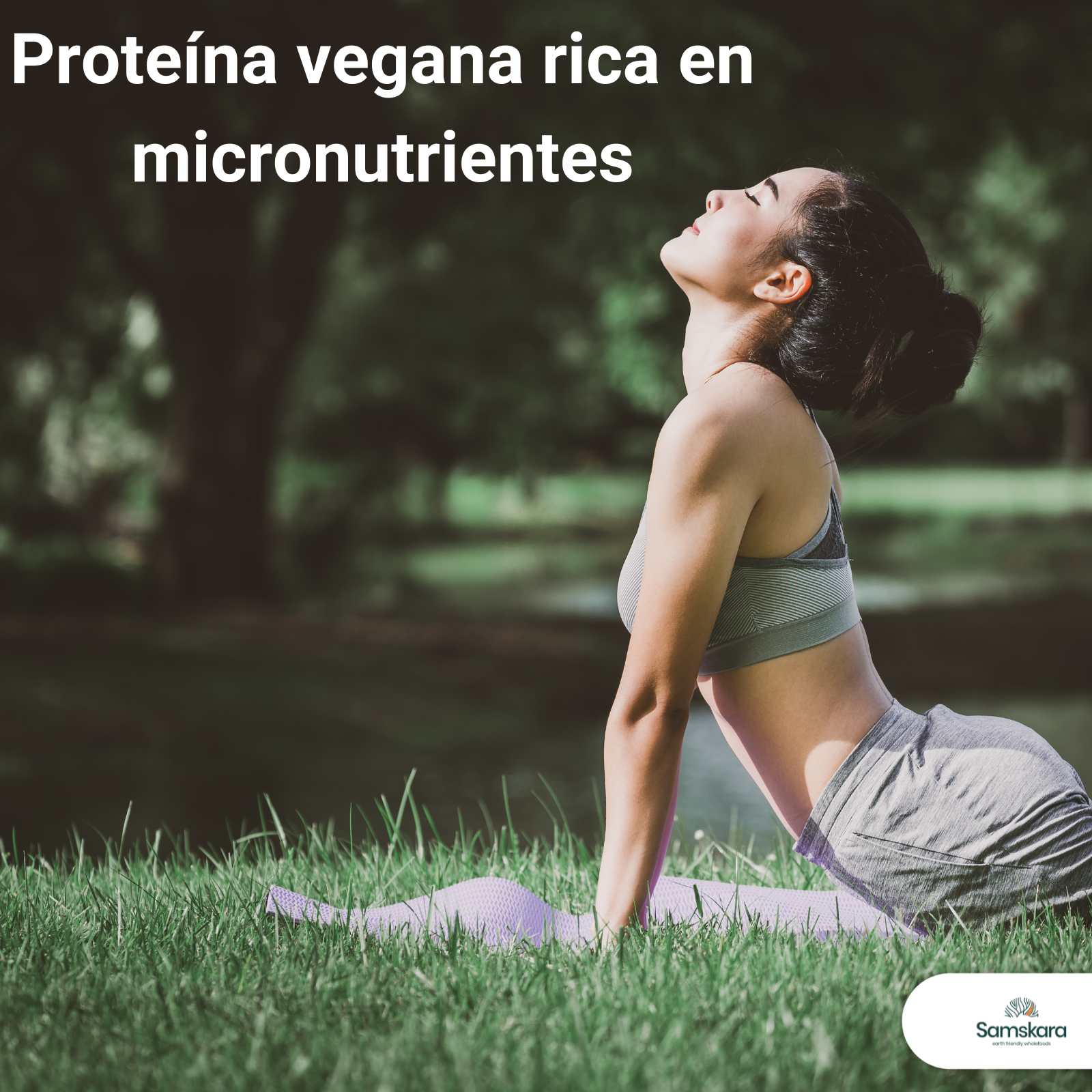 Proteína De Calabaza Tostada Bio - 500g | Proteína Vegetal Ecológica Vegana Para Batidos Y Repostería_4