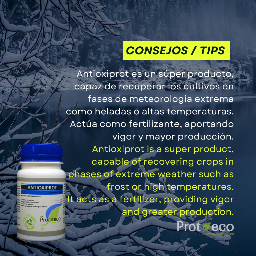 Protector antiheladas ecológico para plantas Antioxiprot Prot-eco 100 ml + pipeta 5 ml gratis_1