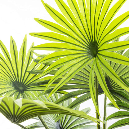 Planta Decorativa Tronco De Palmera_3