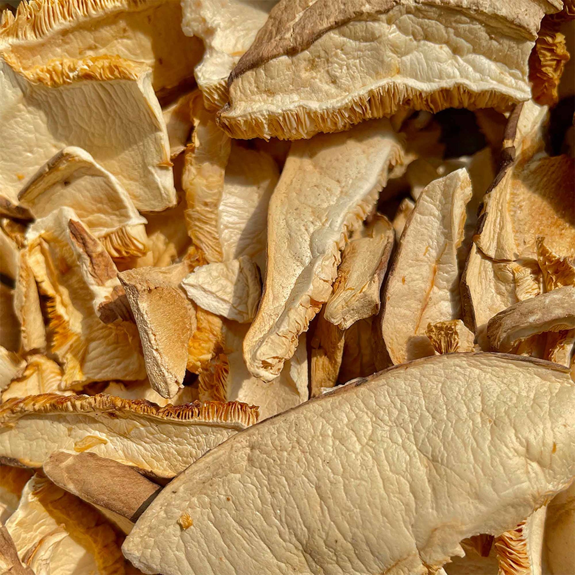 Setas Shiitake En Laminas Bio 20g_1