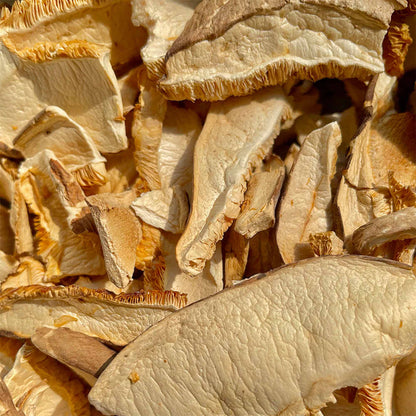 Setas Shiitake En Laminas Bio 20g_1