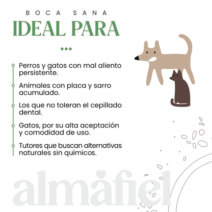 Boca Sana | Ascophyllum Nodosum | Reductor Mal Aliento Perros | Higiene Dental de Perros Y Gatos_4