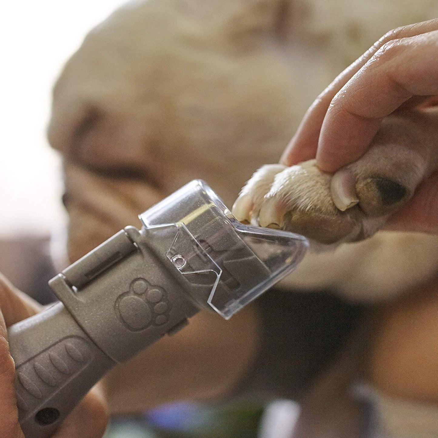 Kit para el cuidado de uñas de mascotas Dremel 7020-PGK