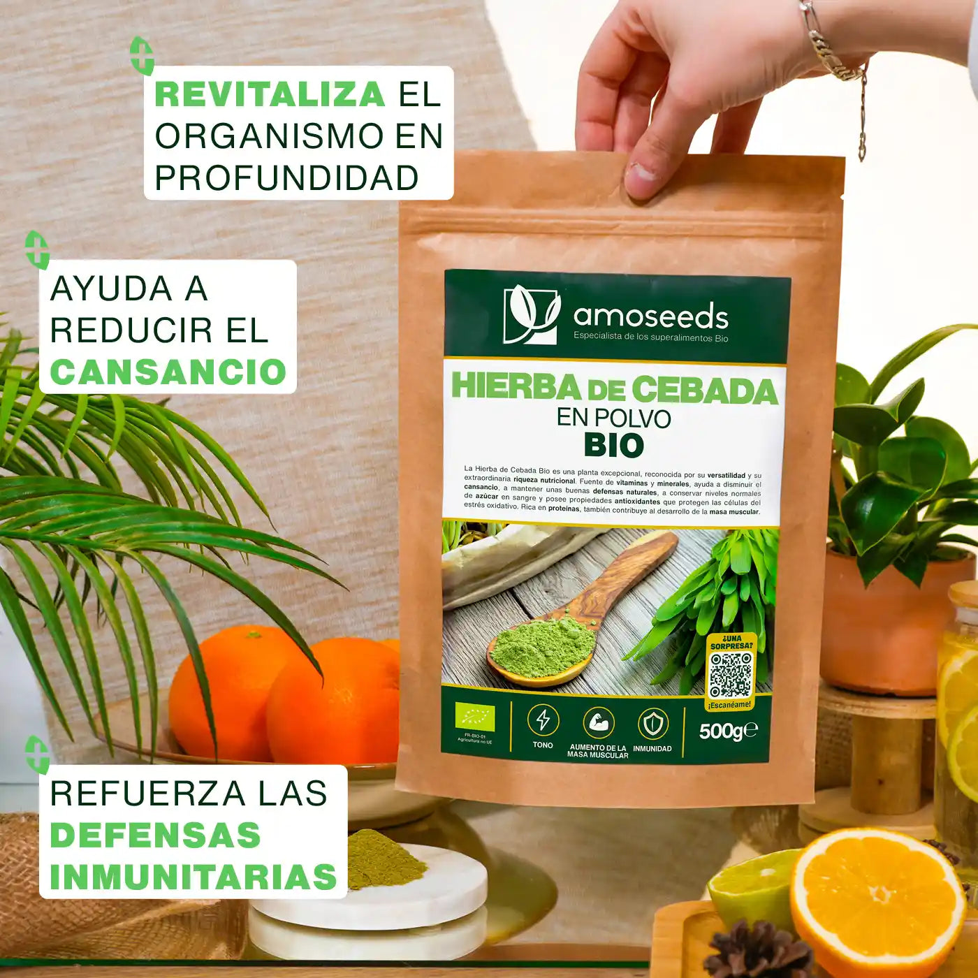 Hierba De Cebada En Polvo Bio 500g_3
