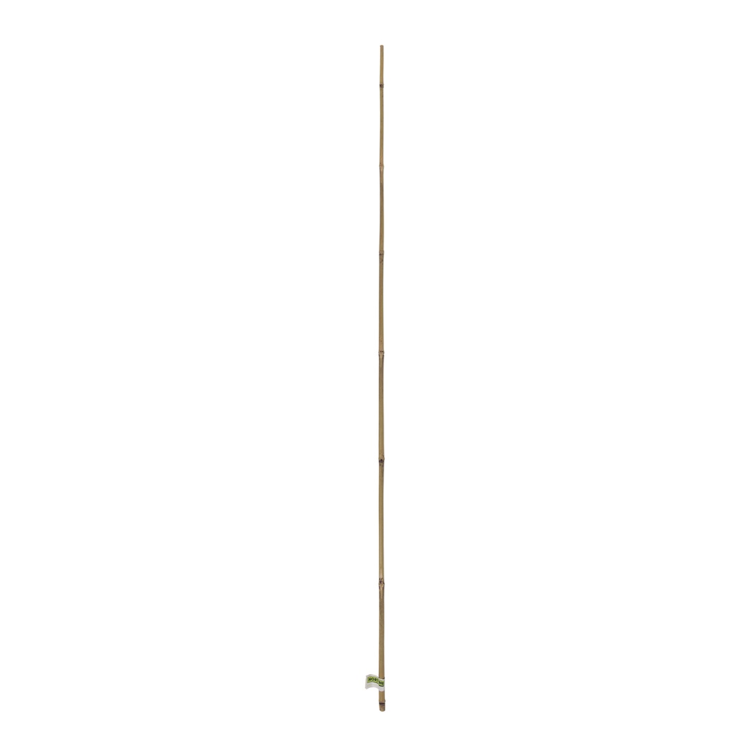 Tutor De Bambu 10-12 Mm 1,5 M Nortene_1