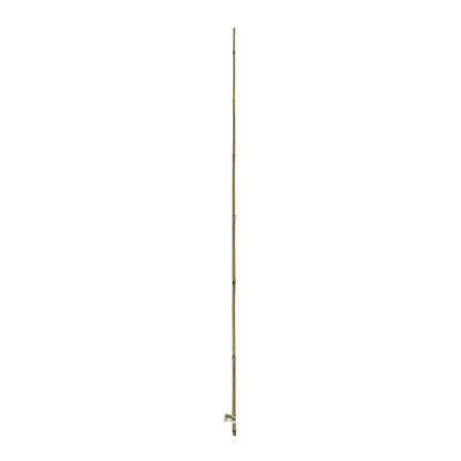 Tutor De Bambu 10-12 Mm 1,5 M Nortene_1