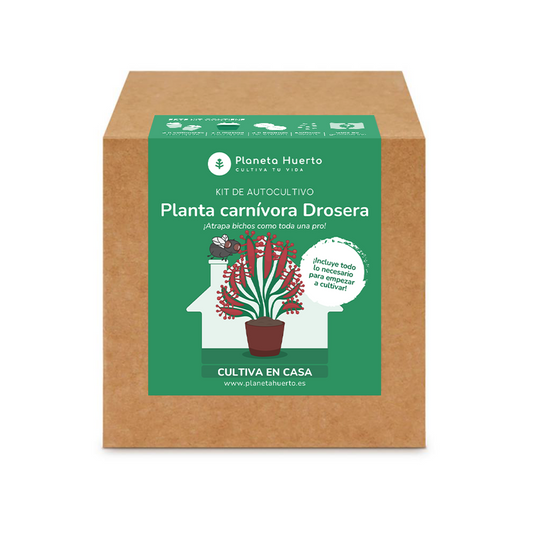 Kit de autocultivo Planta carnívora Drosera Planeta Huerto
