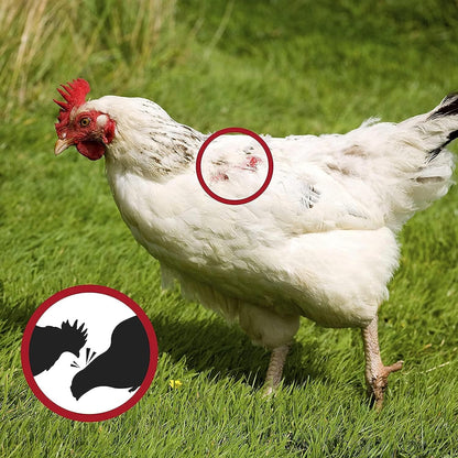 Anillas Antipicaje Para Perdices O Gallinas Y Faisanes Jóvenes (bolsa De 100 Unidades) - Tamaño Pequeño (1,5 Cm)_4