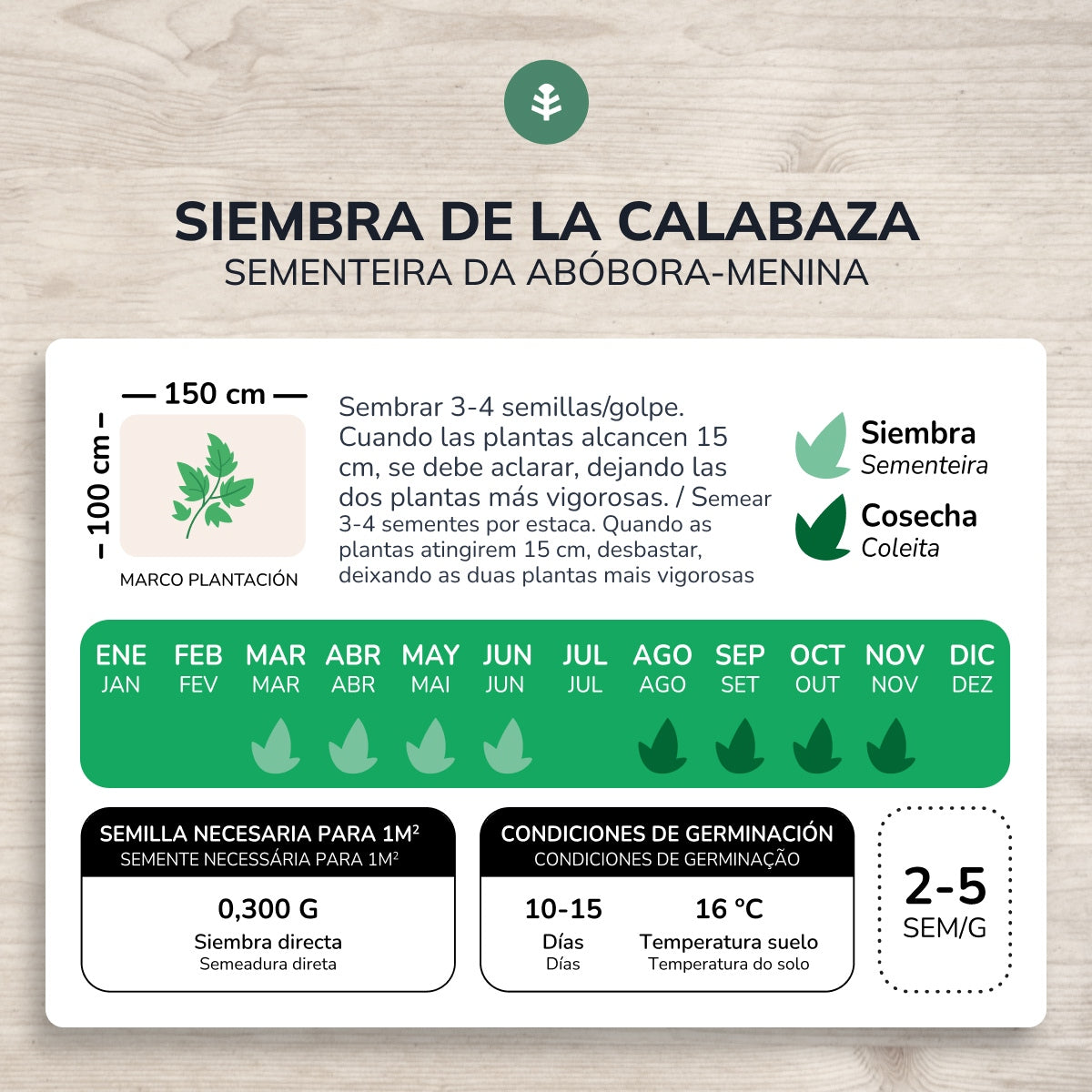 Semillas de Calabaza Butternut ecológicas Planeta Huerto