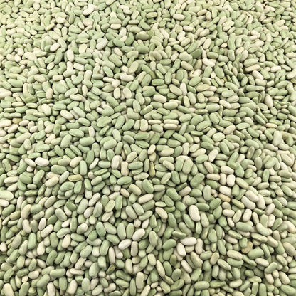 Flageolet Orgánico Granel 25 Kg_2