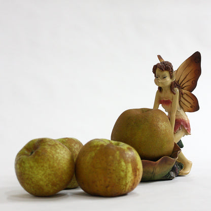 Caja Surtido Manzana Reineta, Fuji Y Golden. 10 Kg._3