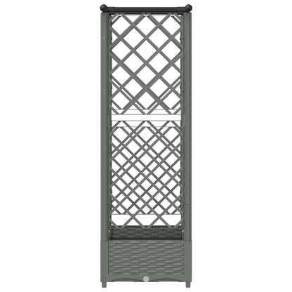 Cama Elevada Con Trellis Y Techo Gris Claro 122,5 X 40 X 121 Cm_4