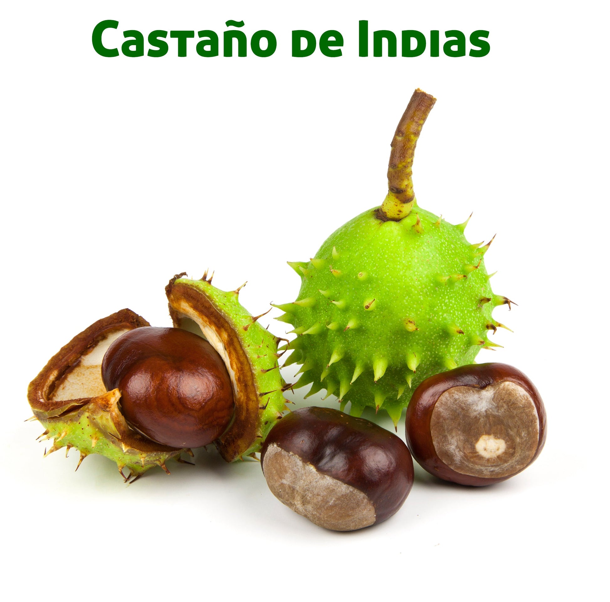 Venotur Piernas Cansadas_3