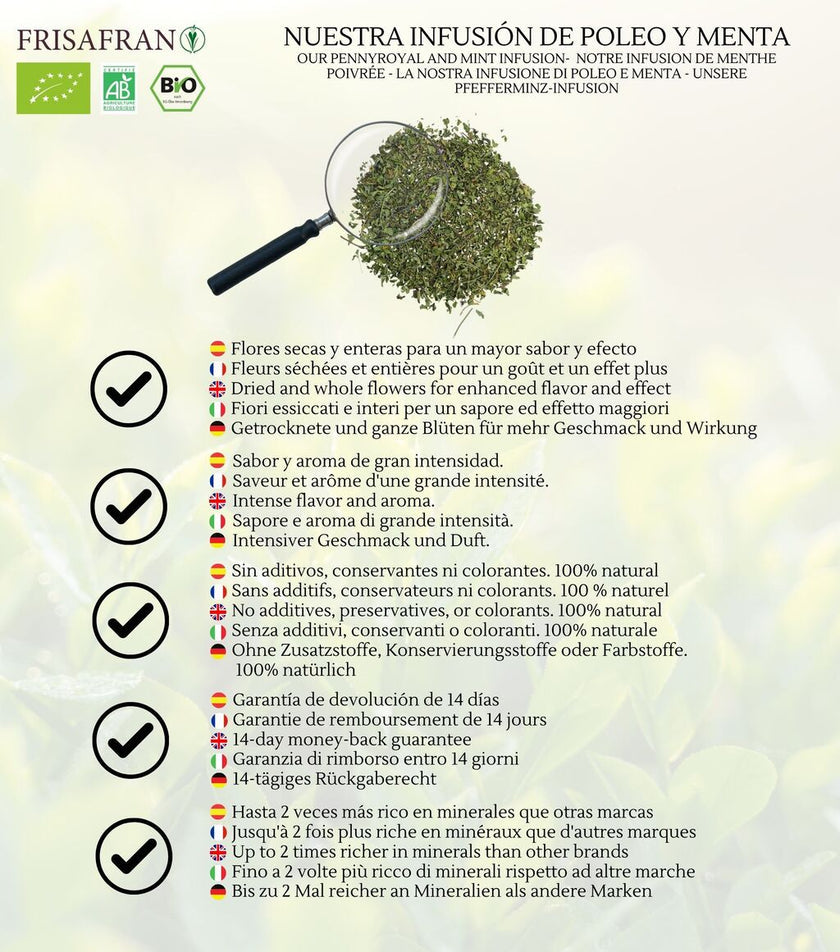 Infusión De Poleo Menta A Granel Ecológica | Frisafran 200 G_3