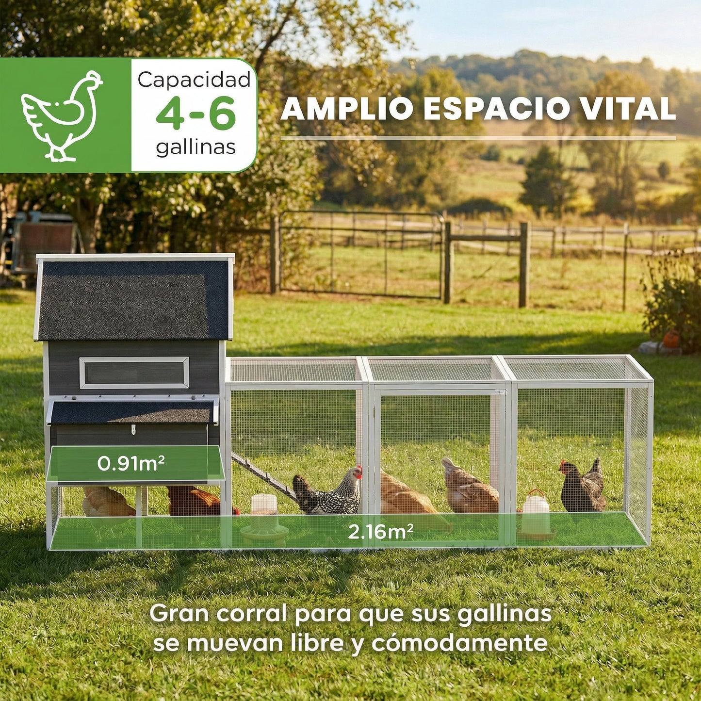 Pawhut Gallinero De Madera Grande Exterior_3