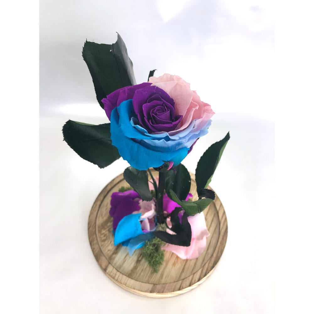 Mundo Eterno Rosa En Cúpula Multicolor Pastel 12x20cm_2