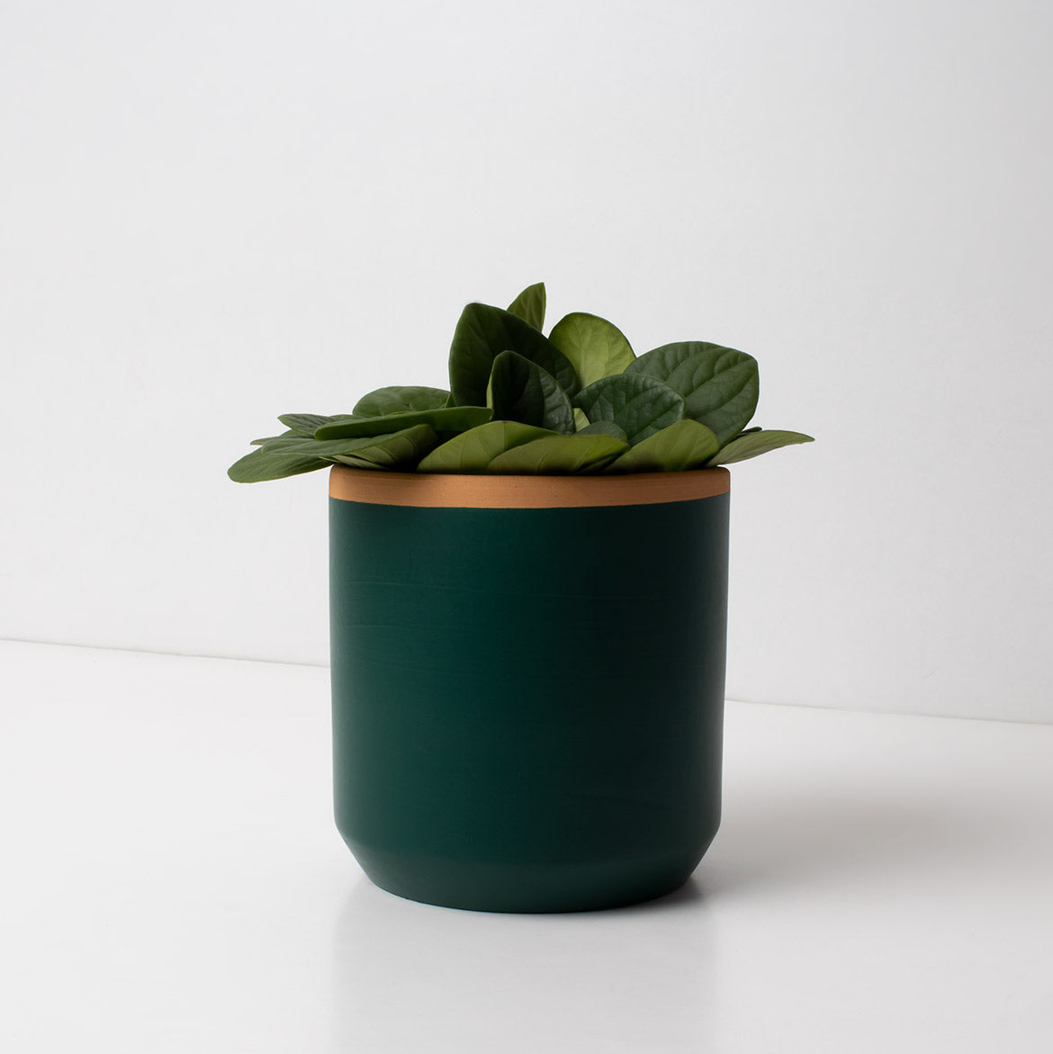 Macetero de Terracota Verde Helecho 13 cm – Hecho a Mano por Artesanos, Maceta Decorativa - Resetea_1