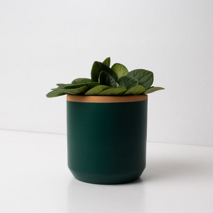 Macetero de Terracota Verde Helecho 13 cm – Hecho a Mano por Artesanos, Maceta Decorativa - Resetea_1
