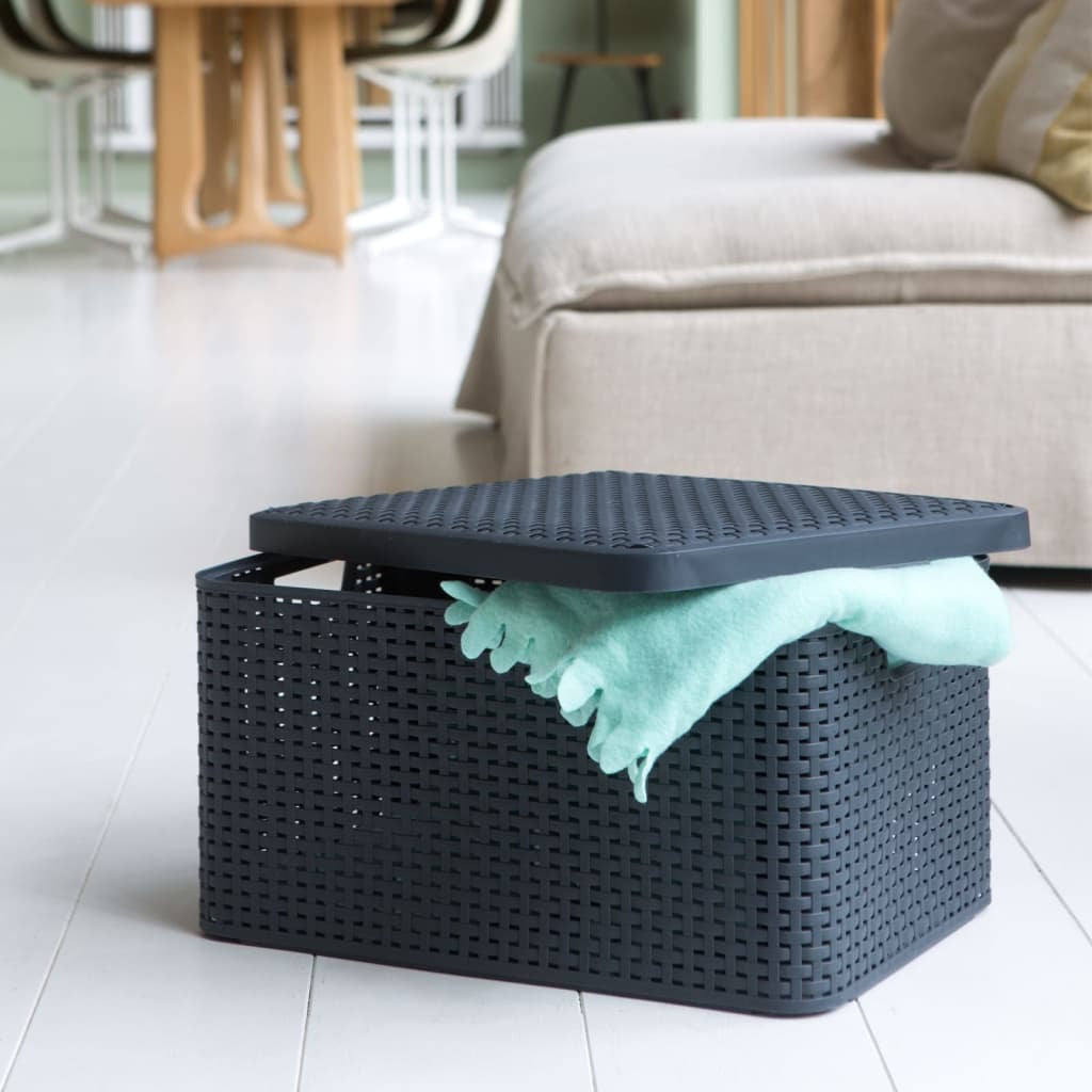 Curver Caja De Almacenamiento Con Tapa Style L Plata Metalizada 30 L_1