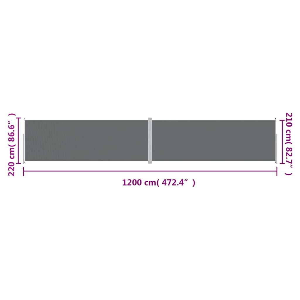 Vidaxl Toldo Lateral Retráctil Antracita 220x1200 Cm_2