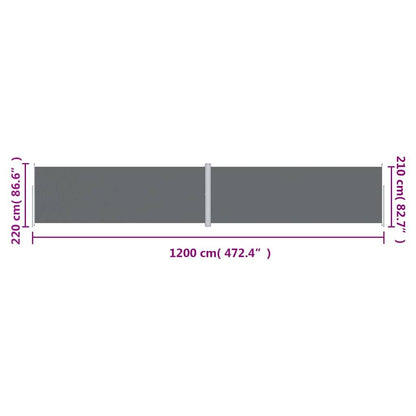 Vidaxl Toldo Lateral Retráctil Antracita 220x1200 Cm_2