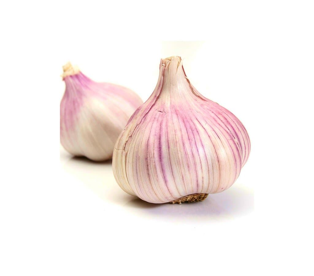 Ajo Morado M11 (allium Sativum)_0