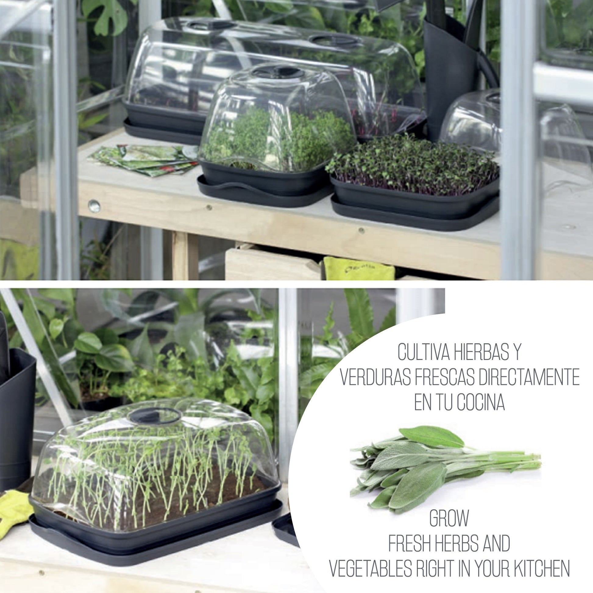 Semillero/bandeja Multiusos Respana Table Greenhouse, Dimensiones (mm) 515x196x185, Color Antracita