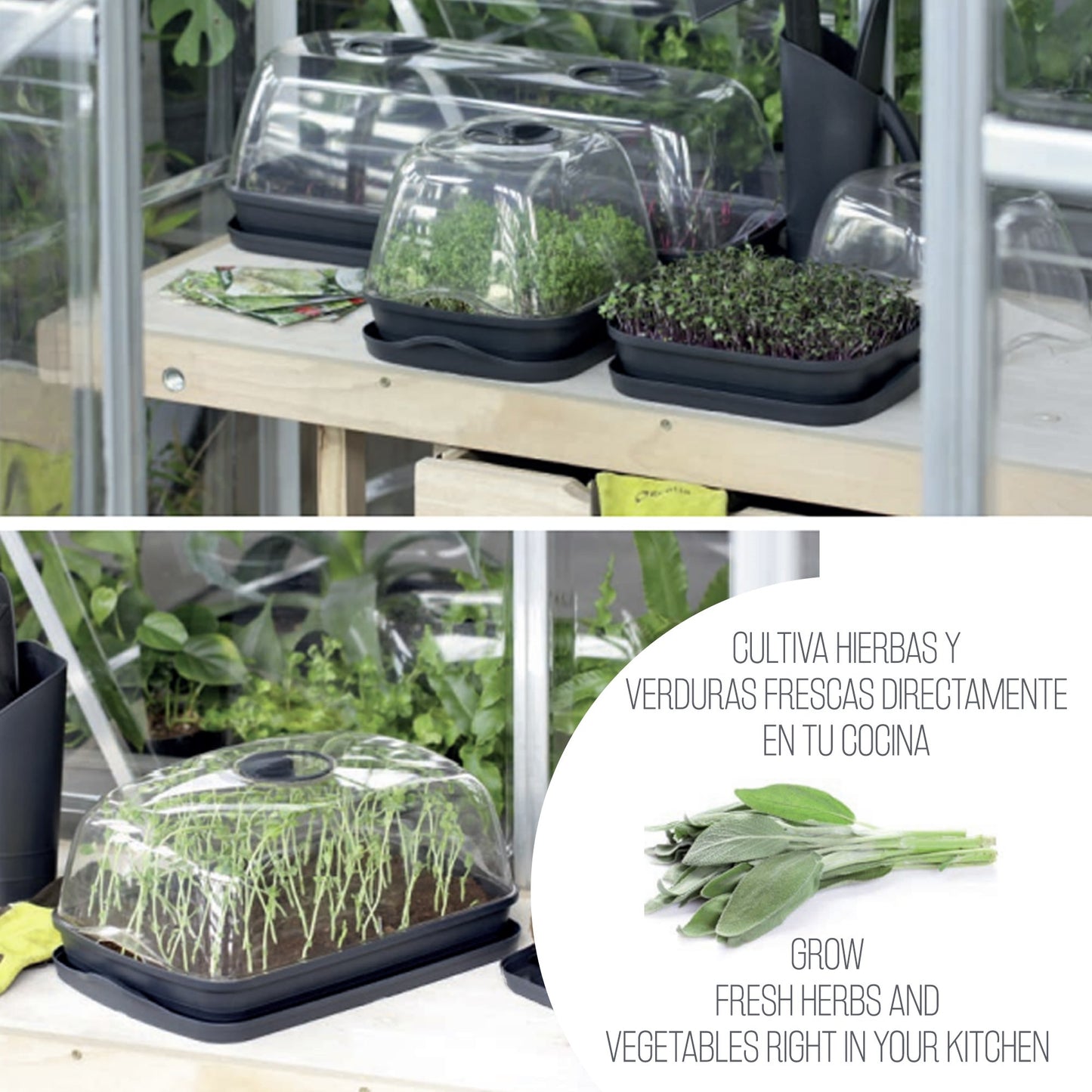 Semillero/bandeja Multiusos Respana Table Greenhouse, Dimensiones (mm) 257x196x185, Color Gris Piedra_3