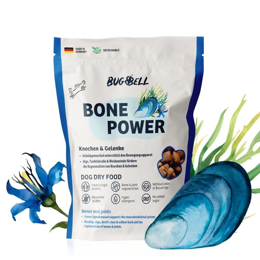 BugBell BonePower Pienso – Hipoalergénico, sin cereales, con proteína de insecto, glucosamina y mejillón verde_0