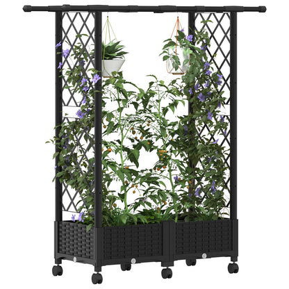 Cama Elevada Con Trellis Y Techo Negro 122,5 X 40 X 127 Cm Pp_2