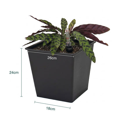 Pack De 3 Macetas Con Autorriego De Polipropileno 16 L 26x26x24 Cm Hortalia_2