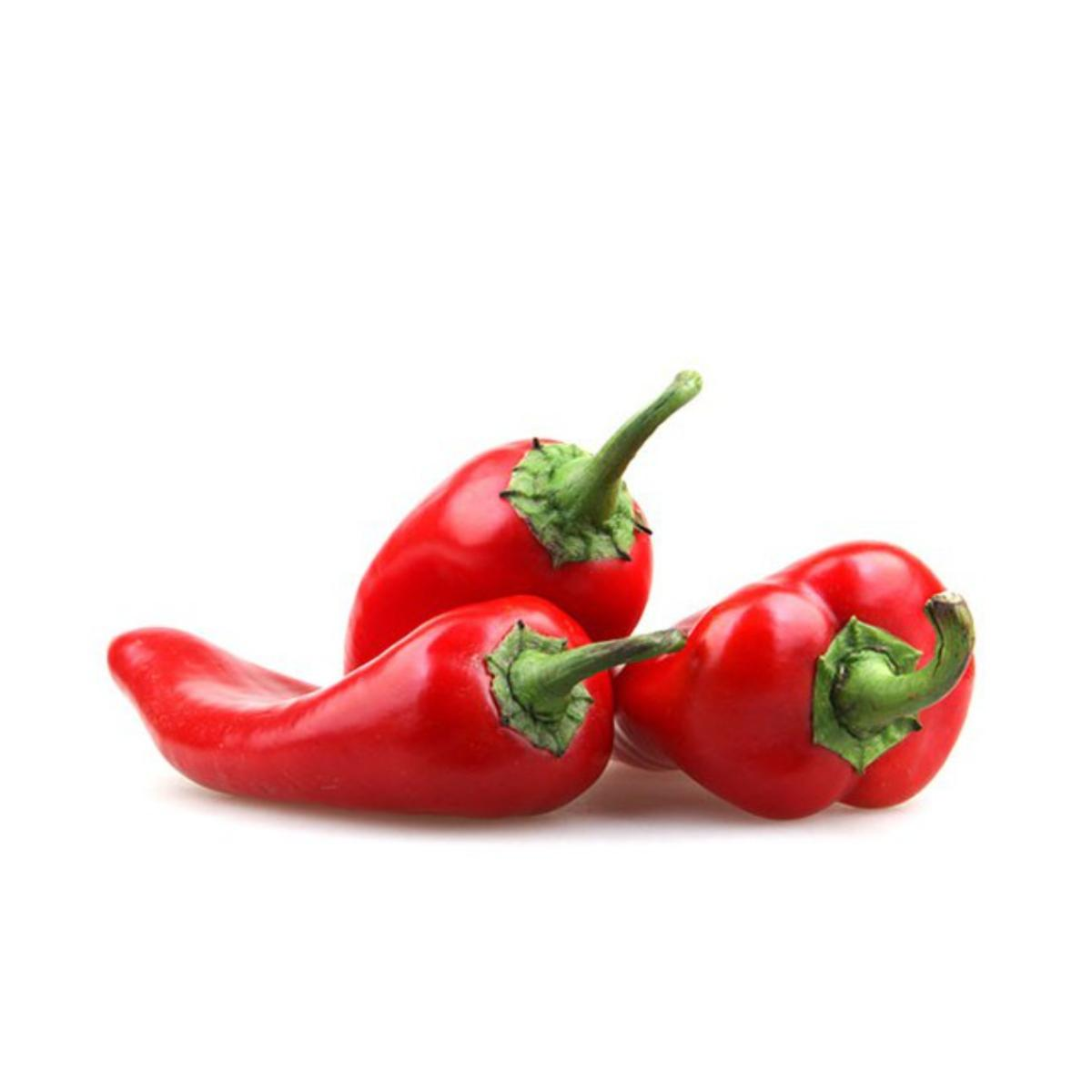 Plantón De Pimiento Piquillo En Maceta 11 Cm_0