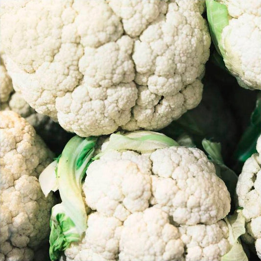 Semillas Coliflor Bola De Nieve Ecológicas