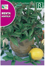 Semillas Menta 0,5g