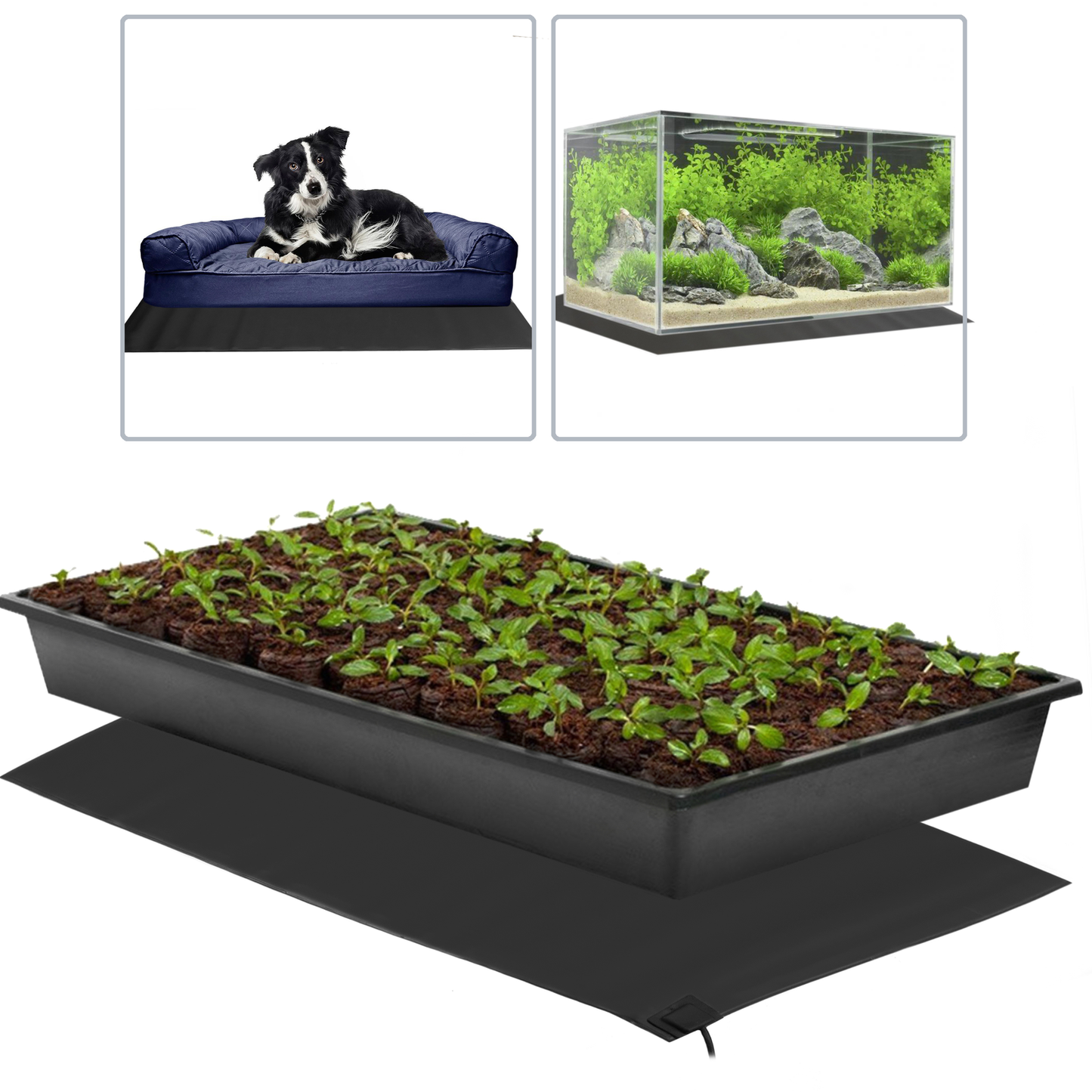 Alfombra Térmica Calefactora Para Plantas Semillero Reptiles Y Cultivo Hidropónico 52x25mm 21w_2