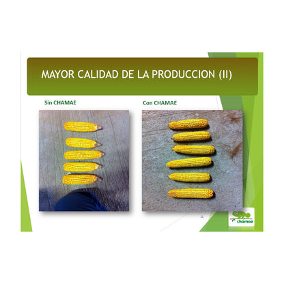 Fertilizante Chamae + Fúlvicos Ecológico 1 Litro, Uso Doméstico._1