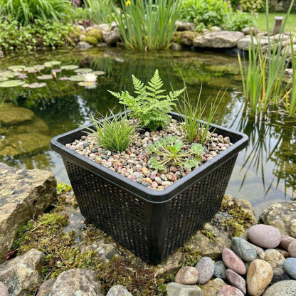Cesta Estanque - 5 Unidades - 35x35x26 Cm - Cestas Grandes_2
