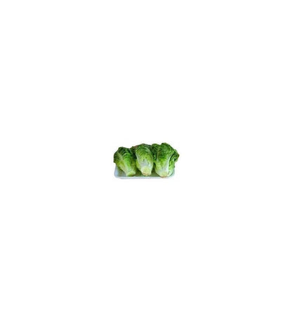 Plantón Lechuga Baby (10 Unidades)_2