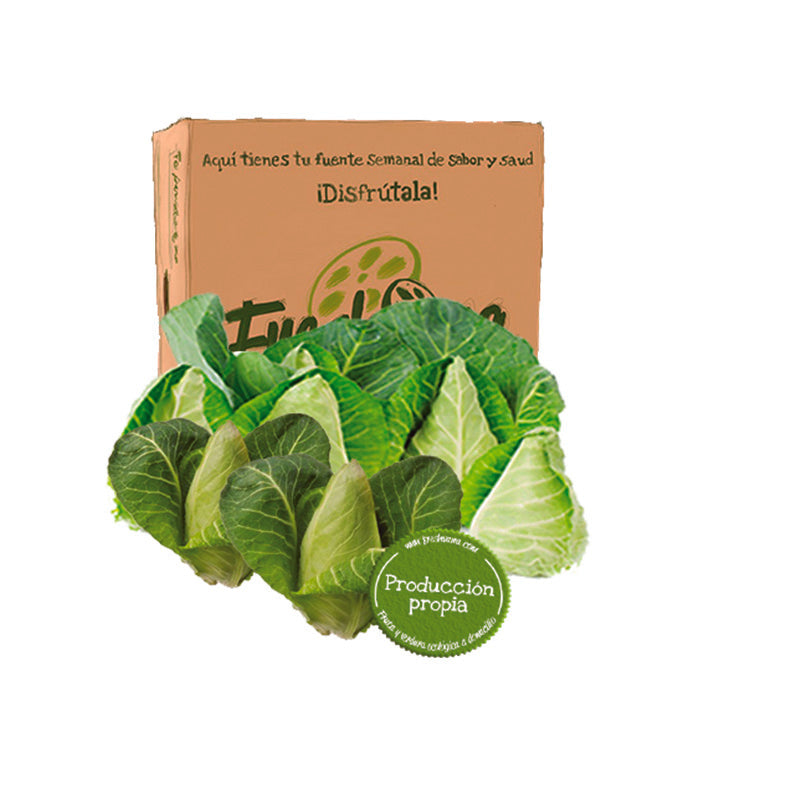 Caja De Col Picuda Ecológicas Freshvana 5 Uds_0