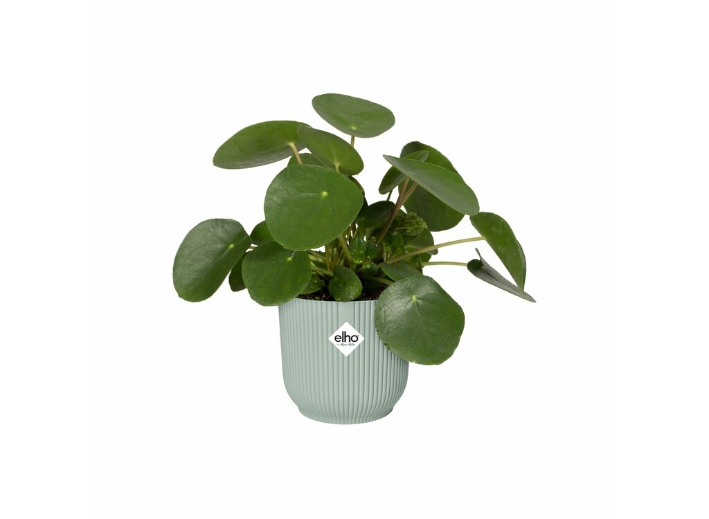 Macetero Vibes Fold Round Elho 14cm Verde Sorbete