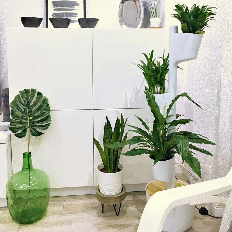 Macetero Vertical Citysens Con Riego Inteligente De 3 Macetas – Blanco, Polipropileno 100% Reciclado_1