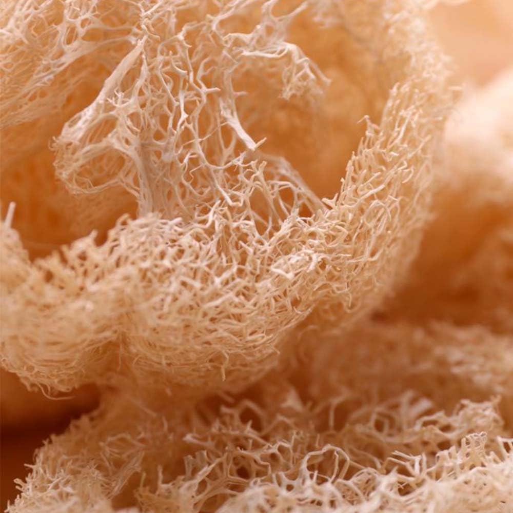 Esponja Natural Vegetal De Luffa Cuadrada. Limpieza Y Exfoliación. Activa La Circulación. Cultivada Y Hecha En Galicia_4