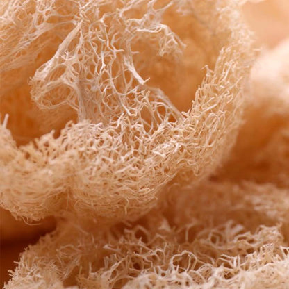 Esponja Natural Vegetal De Luffa Cuadrada. Limpieza Y Exfoliación. Activa La Circulación. Cultivada Y Hecha En Galicia_4