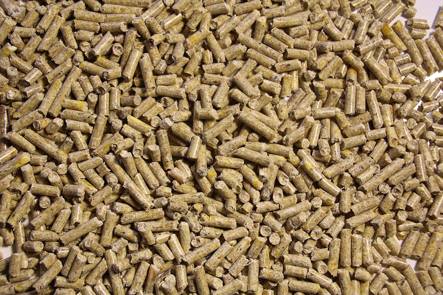 Pienso ECOLÓGICO para Cerdos Mascota 20 kg – Comida Natural y Saludable para Cerdos Nutrición Equilibrada_1