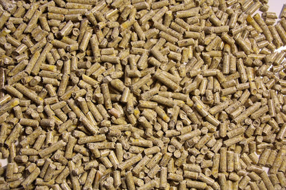 Pienso ECOLÓGICO para Cerdos Mascota 20 kg – Comida Natural y Saludable para Cerdos Nutrición Equilibrada_1