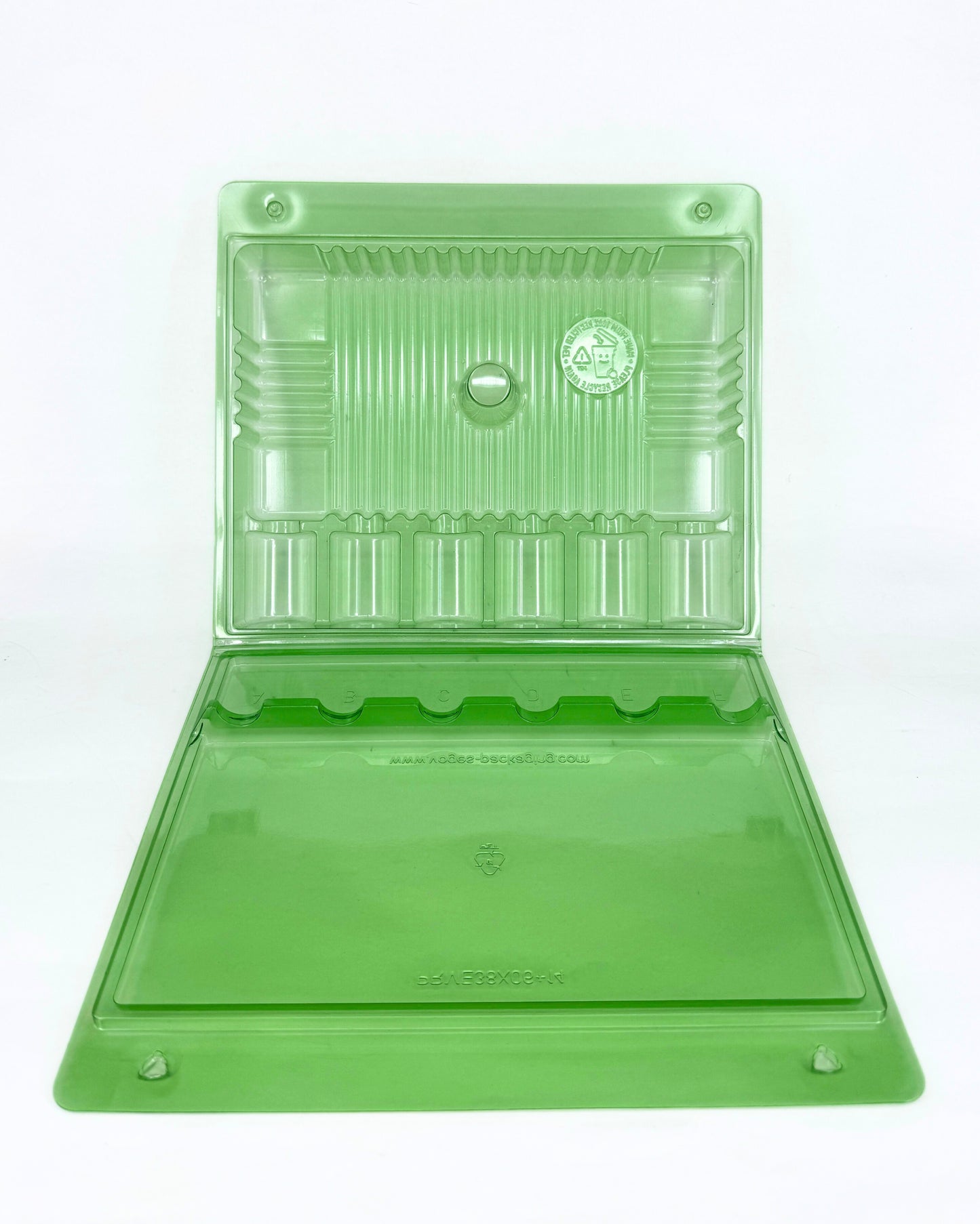 Funda Para 6 Esquejes – Transporte Seguro Y Visible | Verde Transparente, 28,5 Cm