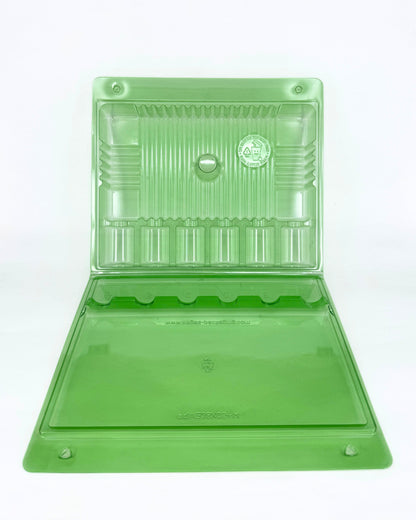 Funda Para 6 Esquejes – Transporte Seguro Y Visible | Verde Transparente, 28,5 Cm