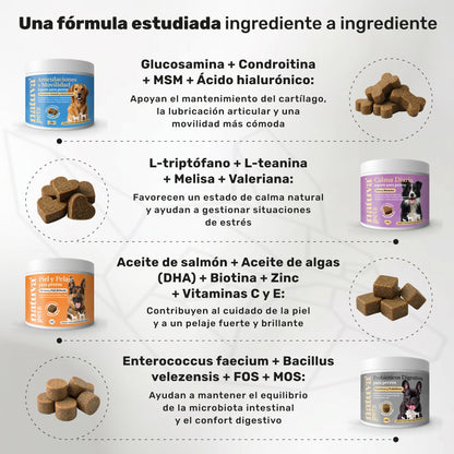 Pack Calma + Condro + Probiotico + Salmon Para Perros. Suplementos Mascotas. 480 Masticables. Natuva Pets_2