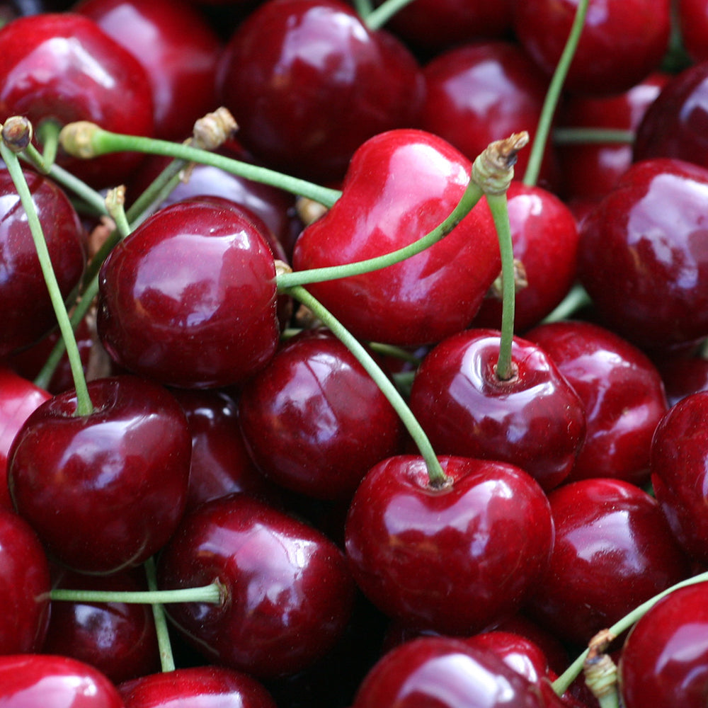 Cerezas del Bierzo. Recolectadas en los cerezos de Corullón. Caja de 2 kilos_2